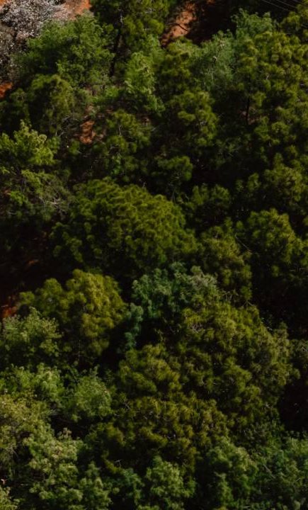 Dream Island on the forested slopes of Huoshan