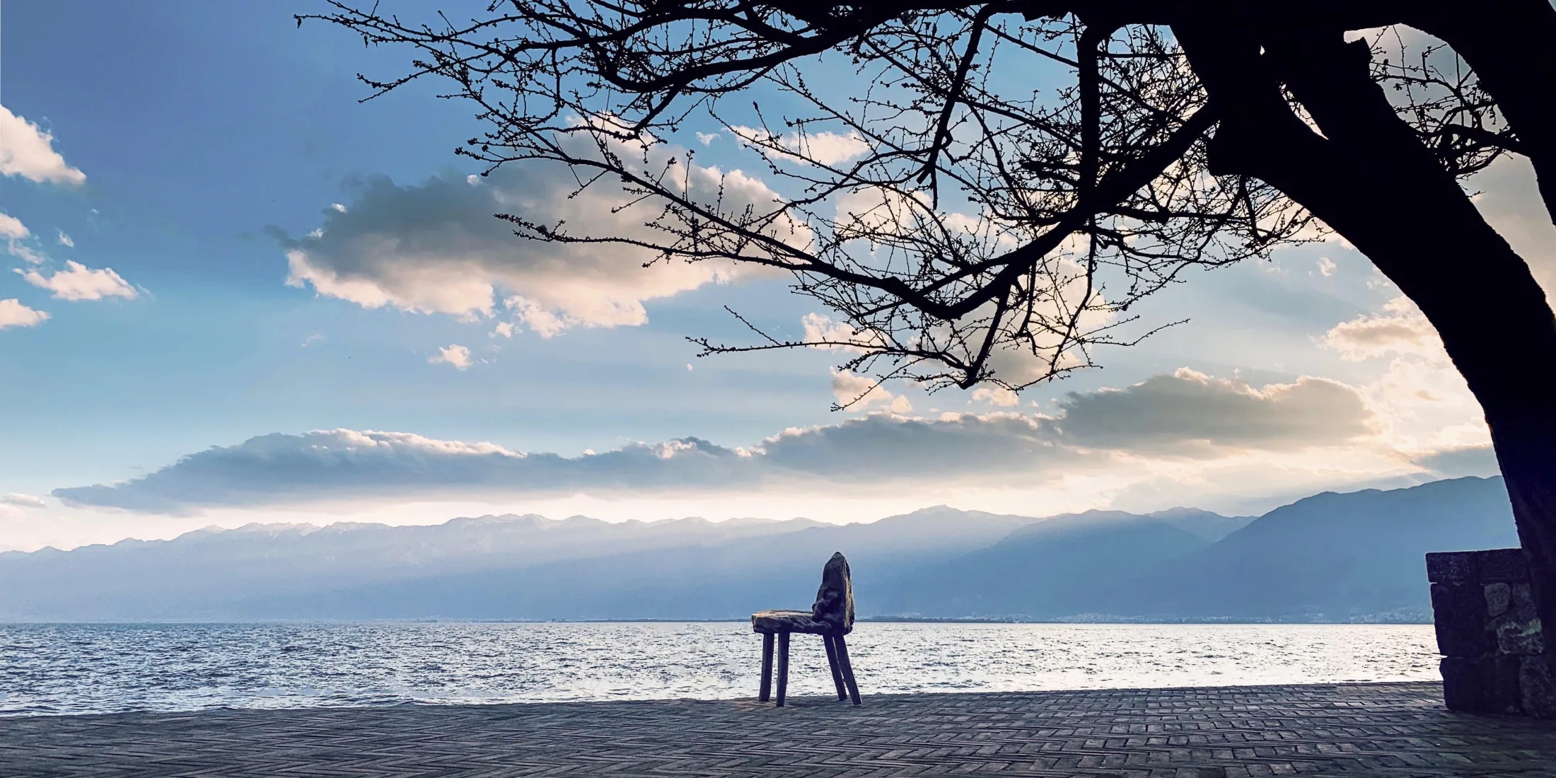 水边的木夕大里洱海
